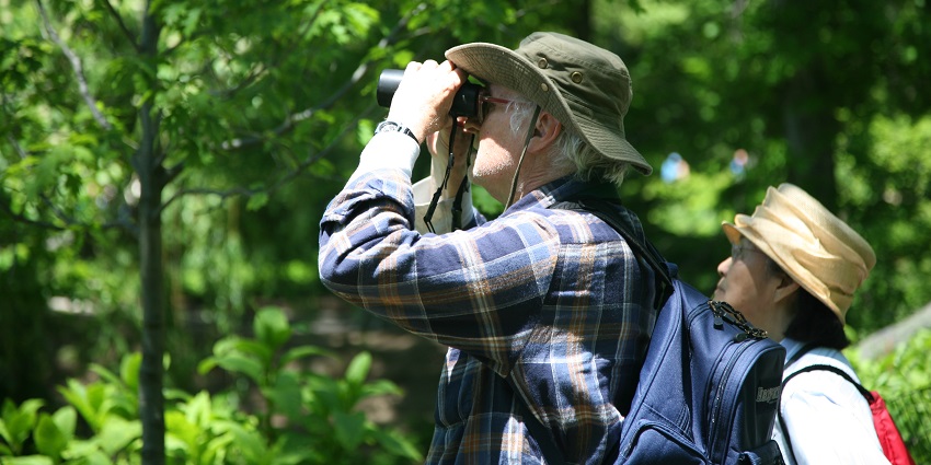 With a variety of native and migratory birds, this falls gives a lively bird watching experience.