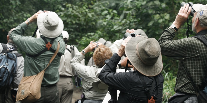 Travellers birdwatching and enjoying wildlife safari - Peechi Wildlife Sanctuary.