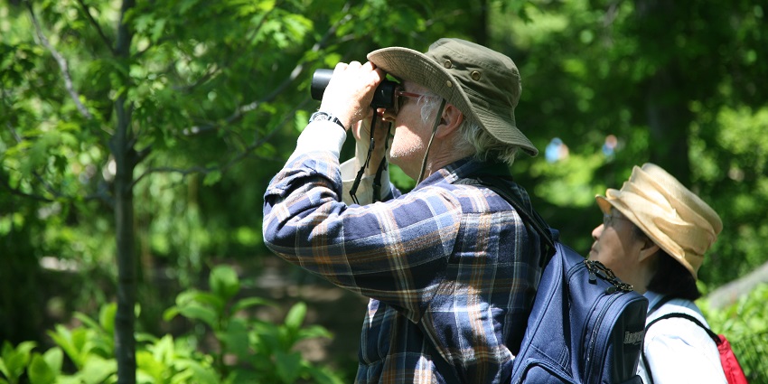 Indulge in birdwatching on your trip to Kadanthery Nature Park in Kerala, India.