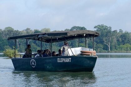 Enjoy a boat safari at Kabini and spot elephants in the surrounding forests here