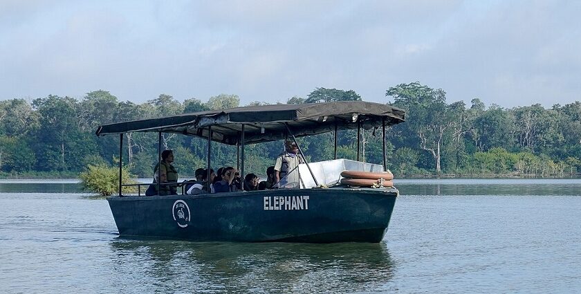 Enjoy a boat safari at Kabini and spot elephants in the surrounding forests here