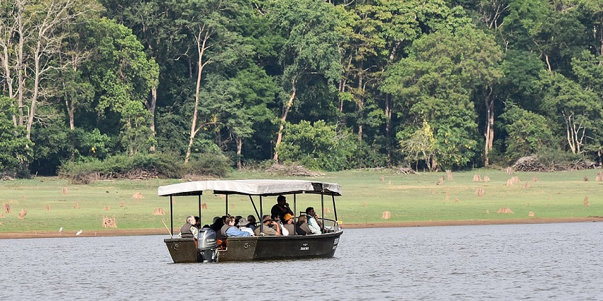 Go on a boat safari in Kabini to spot herons and other bird species here for an exciting adventure