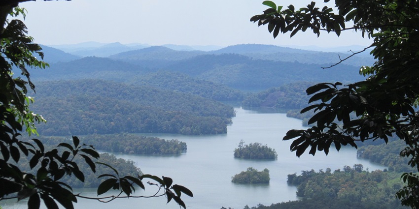 Aerial view of the dense forests of Bonacaud hills with meanders flowing through them
