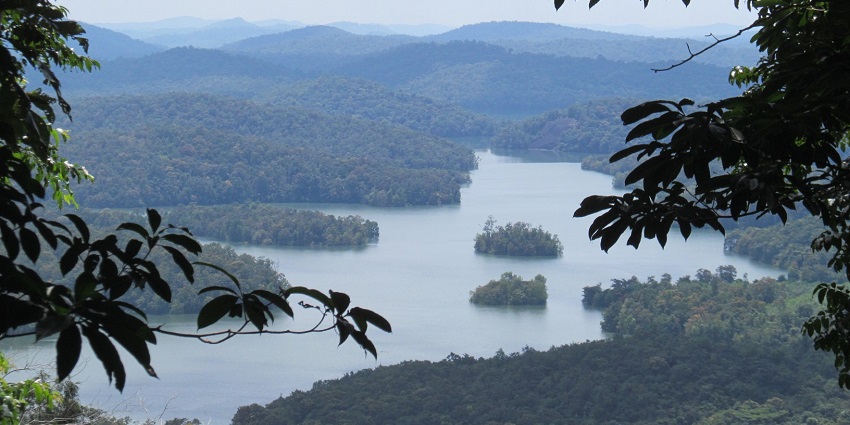 Nestled amidst verdant hills and tea plantations in Kerala - Hill stations near Trivandrum