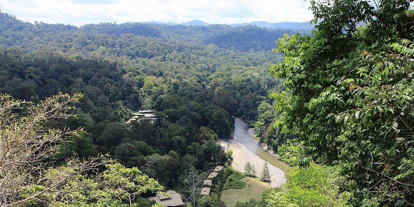 Add the ancient rainforest, Borneo Rainforest, to your Malaysia tourist places list.