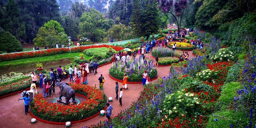 Ooty, the Queen of hill stations, is a must-visit place while exploring South India.