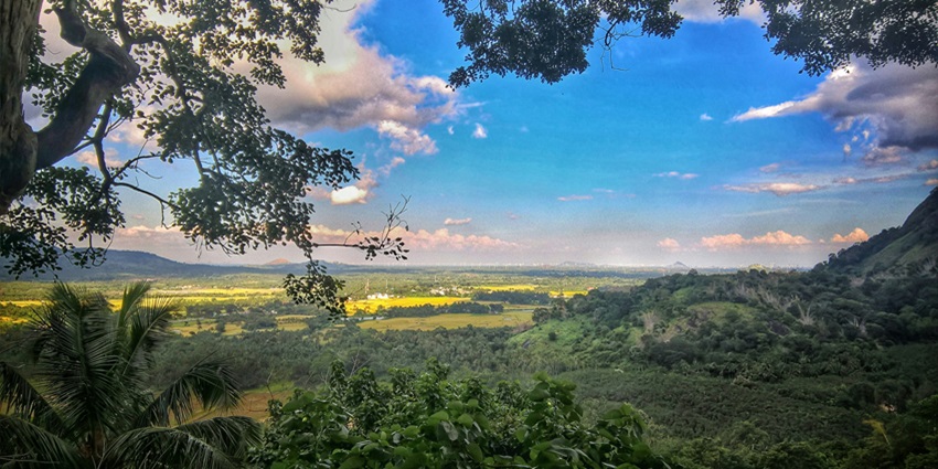 Kollam, a quaint abode is filled with verdant grasslands, historic marvels, and more.