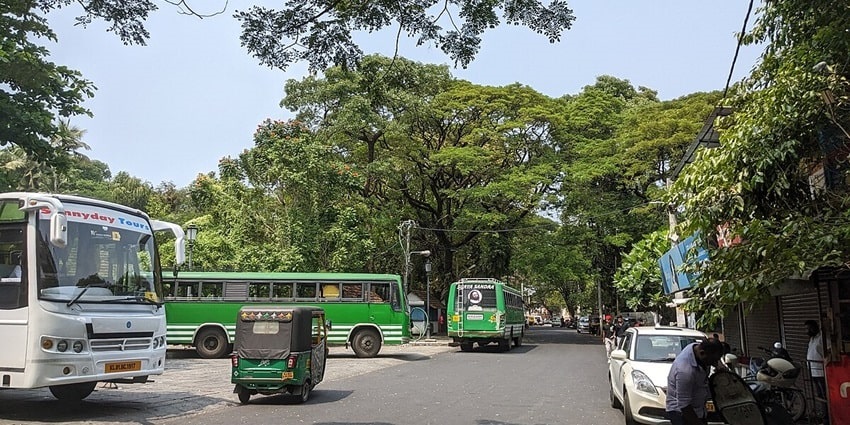 Clear snap of Ernakulam city bus stop surrounded by beautiful green lush trees
