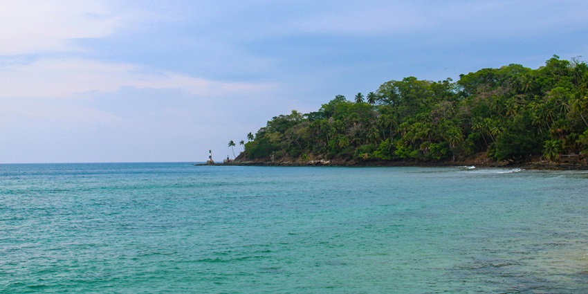 Image of a forest on hill by the sea - similar to the Butler Bay beach