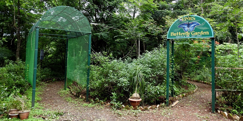 Explore the rich biodiversity of Kerala in a peaceful setting of Butterfly Garden.