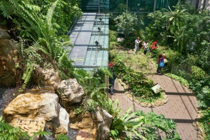 Visiting the beautiful Butterfly garden is one of the must things to do at Changi airport