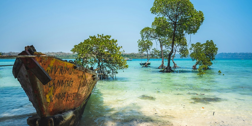 Button Islands are some of the famous places to visit near the tranquil region.