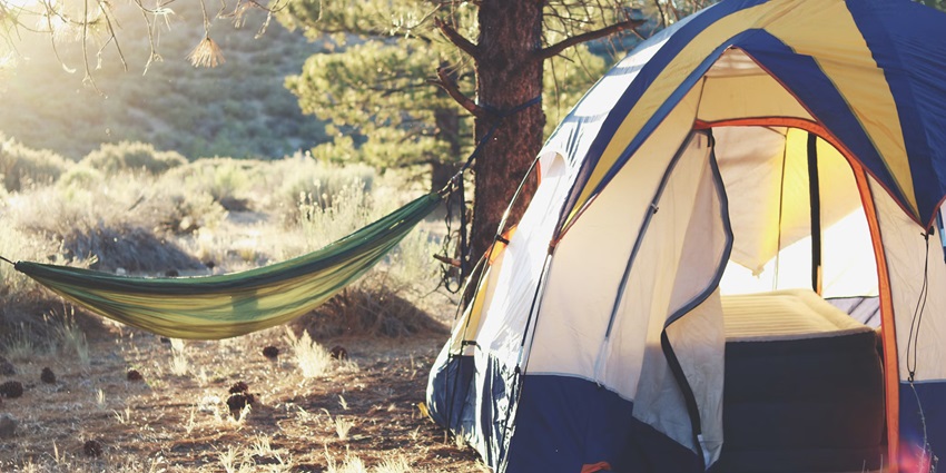 A breathtaking view of the golden hour and bird chirping can be witnessed from the camp.