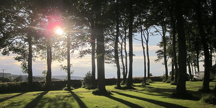 The idyllic sunset views from the camping site - Things to do in Barog, Himachal Pradesh