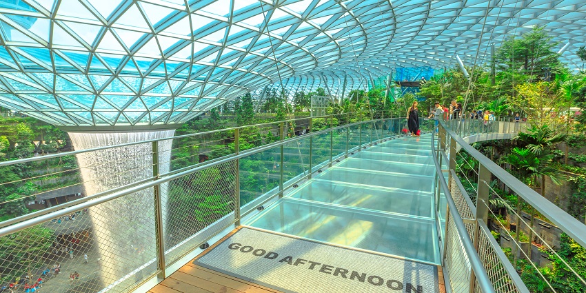 Walking the magnificent canopy bridge is one the most unique things to do at Changi airport