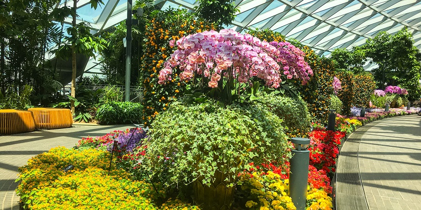 Wander around the enchanting flower gardens of the airport with your family and friends