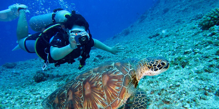 Scuba Diving under the deep blue waters of the ocean is one of the amazing experiences.