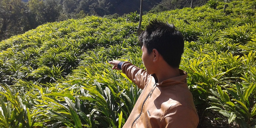 These plantations display the varied beauty and biodiversity of Gavi with informative tours.