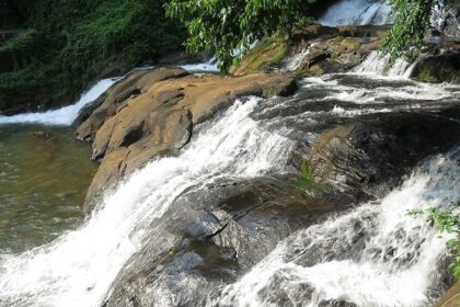 Kottayam waterfalls in Kerala is a captivating sight with the backdrop of forests