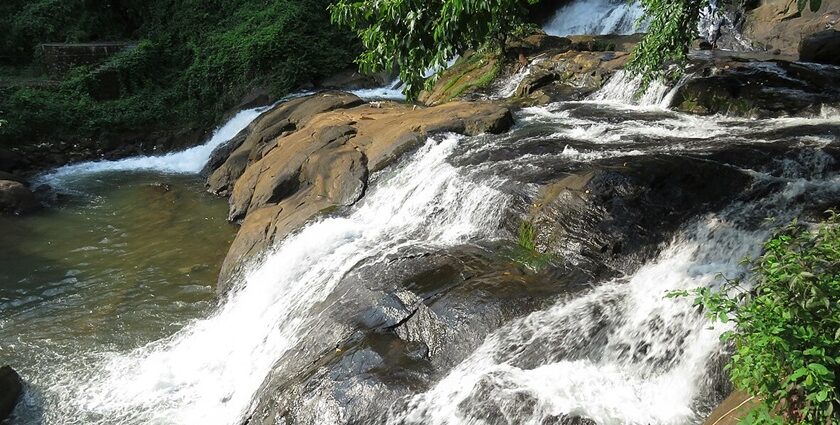 Kottayam waterfalls in Kerala is a captivating sight with the backdrop of forests