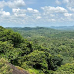 Stunning lush view of a cave in Kerala, which is a must-visit destination for travellers.