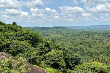 Stunning lush view of a cave in Kerala, which is a must-visit destination for travellers.