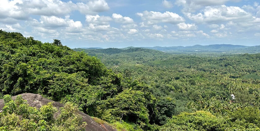 Stunning lush view of a cave in Kerala, which is a must-visit destination for travellers.