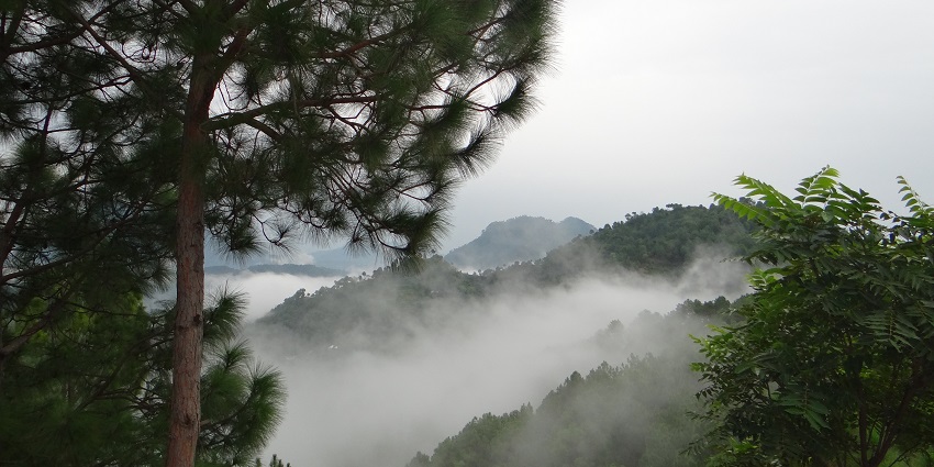 Cloud-covered mountains in Chail