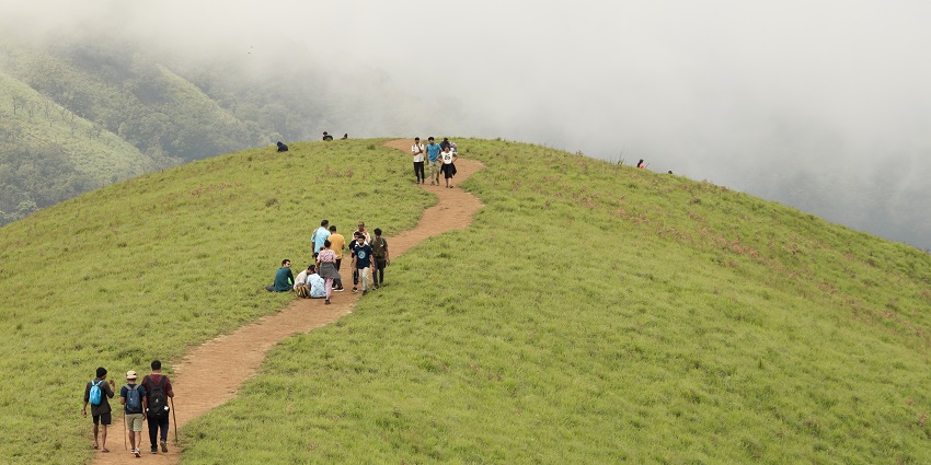 Trekking amidst the Chail is one of the best things to do in Chail, Himachal Pradesh