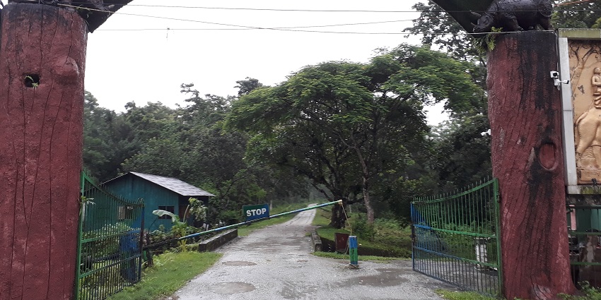 Exploring the picturesque Chail Wildlife Sanctuary in Chail, Himachal Pradesh