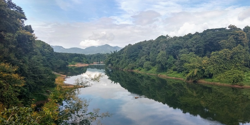 Chaliyar River is a perfect spot to go kayaking as it has serene and calm waters