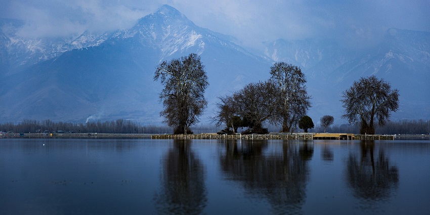 An image of Char Chinar, a spot located in the middle of Dal Lake, in Srinagar.