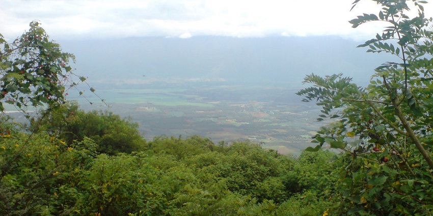 Head to Chellarkovil Viewpoint for some breathtaking panoramic views of hills and valleys.