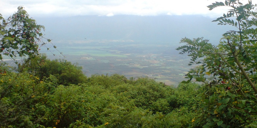 Chellarkovil Viewpoint is a must-visit near Thekkady Sanctuary for panoramic views.
