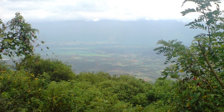 Enjoy a bird’s eye view of lush landscapes from the magnificent Chellarkovil Viewpoint.
