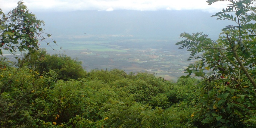 Catch mesmerising views from the Chellarkovil Viewpoint as part of the things to do in Thekkady