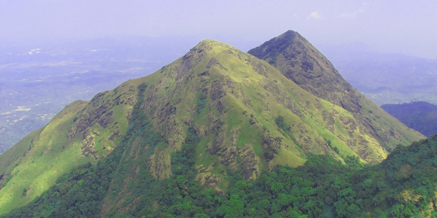 A mesmerising view of the lush green Chembra Peak during the day, a must-visit place.