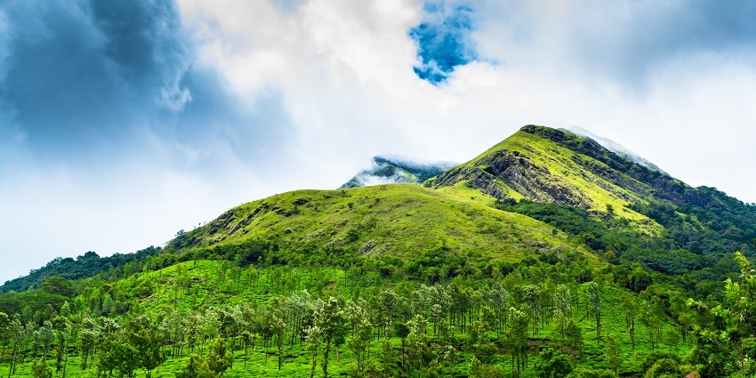 Chembra Peak is one of the best lush green places to visit around Jungle Safari Wayanad.