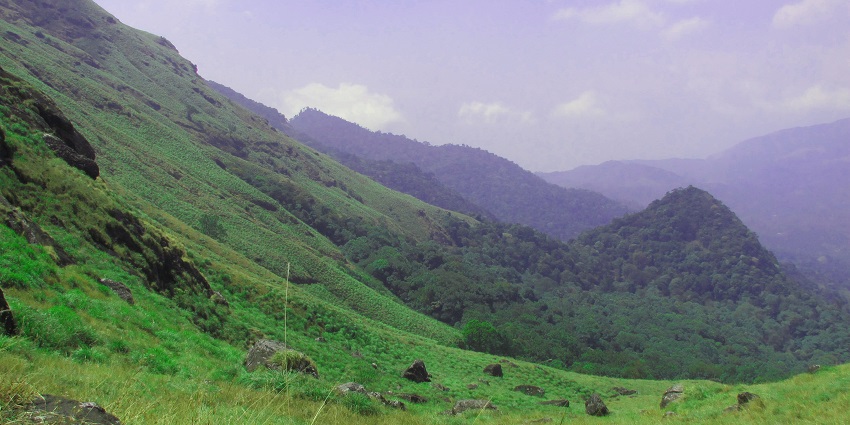 Chembra Peak is a significant spot as far as trekking ( one of the best things to do in Wayanad) is concerned.