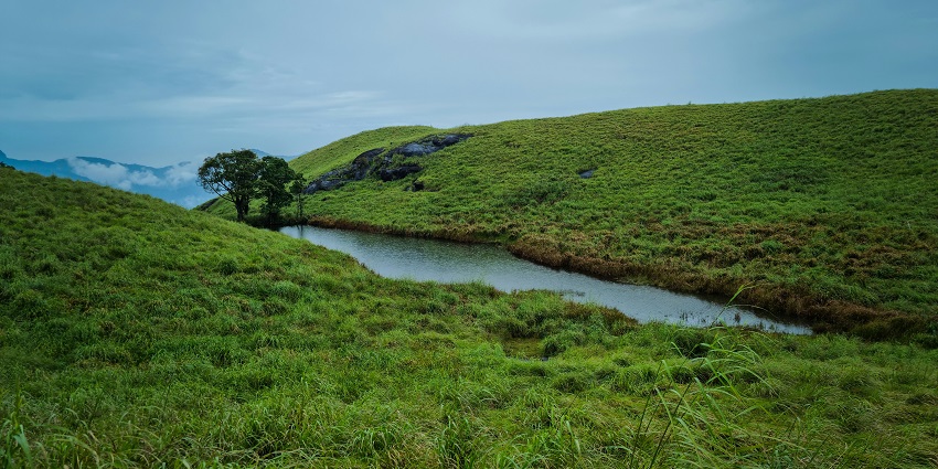 The Chembra Peak in Wayanad, Kerala has lush green landscapes and misty surroundings