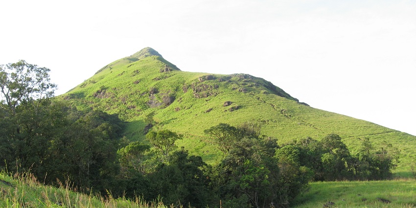 Navigate through the stunning valleys and hills of Chembra Peak for breathtaking views.