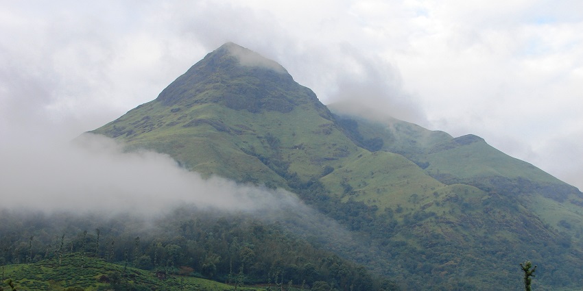 Enchanting view of the Chembra peak, covered with foggy mist and lush green blanket