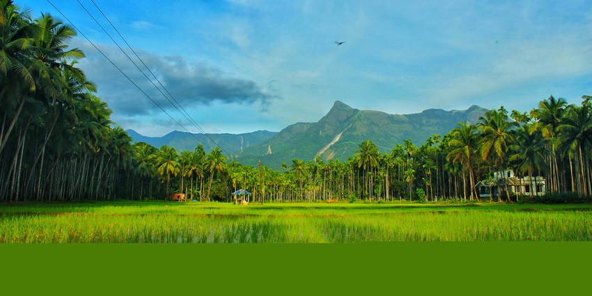 Cherumb eco‑village huts nestled amid verdant hillside vegetation under open sky