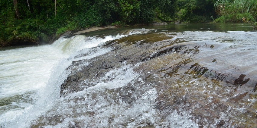 Chethalayam Waterfalls is an unexplored but gorgeous waterfall with lush greenery and calm refuge.