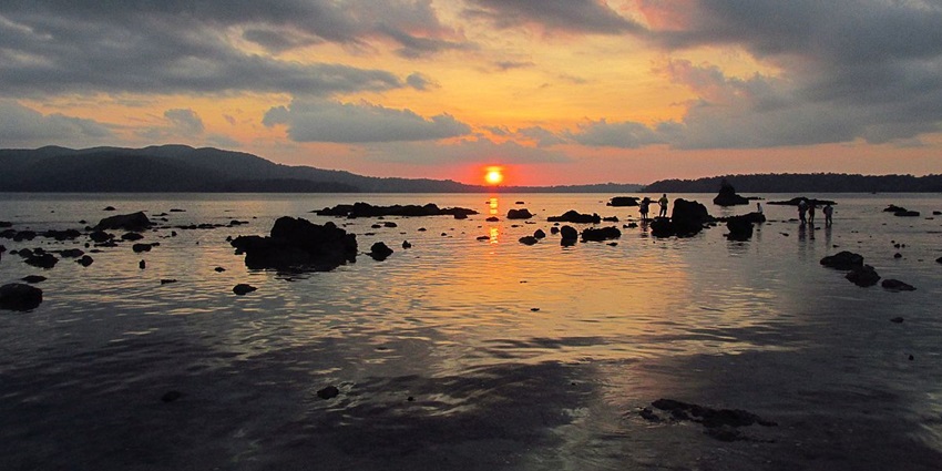 Chidiya Tapu, a serene island dotted with lush trees is located near Cellular Jail Museum.