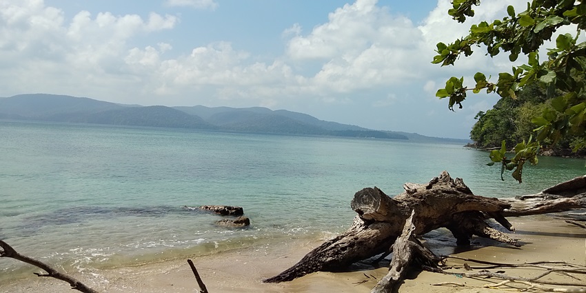 Watch a variety of birds and romantic sunsets on your next trek to the tropical Island.