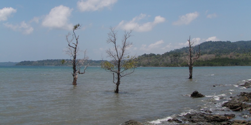 The clear and calm waters of Chidiya Tapu are ideal for snorkelling in Port Blair