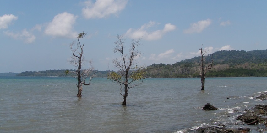 Chidiya Tapu Beach is one of the most scenic and popular beaches on the islands.