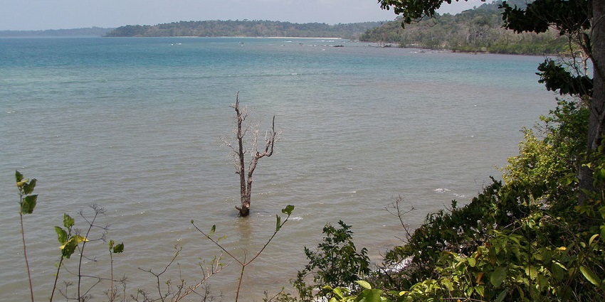 A beautiful view of Chidiya Tapu. One of the best places to visit around Rutland Island.