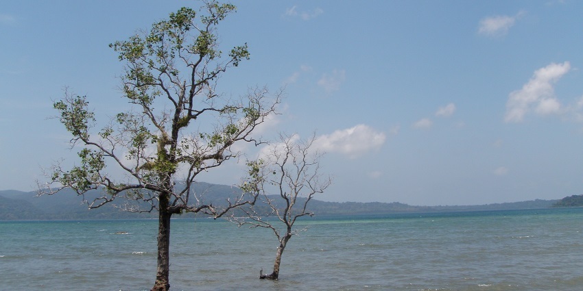 Chidiya Tapu setting features a backdrop of crystal-clear blue waters and lush green area